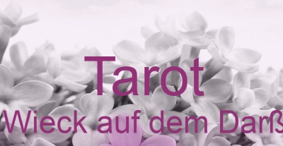Tarot Wieck auf dem Darß | Top-Experten für Kartenlegen, Wahrsagen, Hellsehen, Zukunftsdeutung. Tarot Wieck auf dem Darß | Top-Experten für Kartenlegen, Wahrsagen, Hellsehen, Zukunftsdeutung.